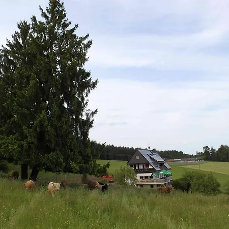 Konukevi Cafe Pfaus Heidburg *