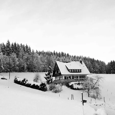 게스트하우스 Cafe Pfaus Heidburg