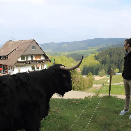 Café Pfaus Heidburg 3*