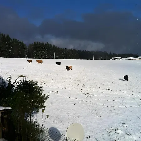 Penzion Cafe Pfaus Heidburg Mühlenbach