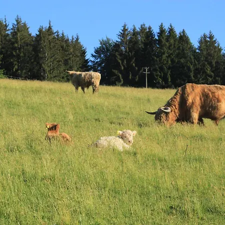 Cafe Pfaus Heidburg 3* Mühlenbach
