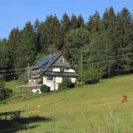 Cafe Pfaus Heidburg Penzion