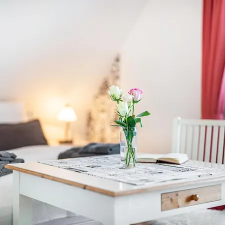 Cafe Pfaus Heidburg Penzion Mühlenbach