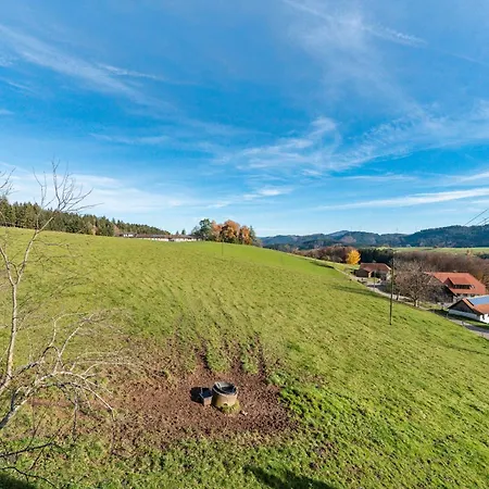 Cafe Pfaus Heidburg Penzion Mühlenbach