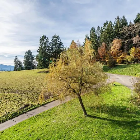Cafe Pfaus Heidburg בית הארחה