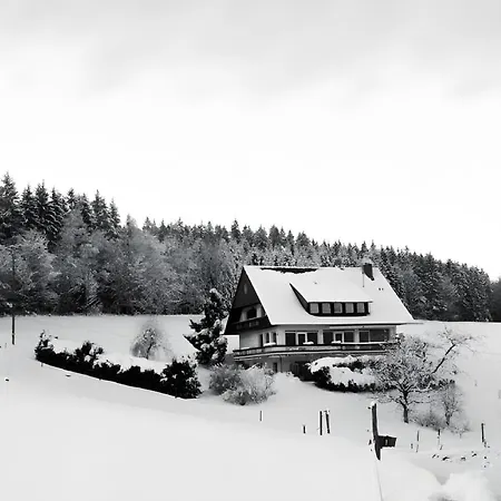 Cafe Pfaus Heidburg Mühlenbach